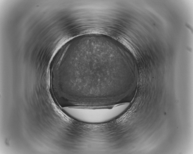 X0000093371132200710251147