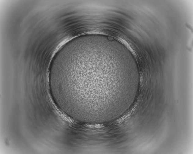 X0000093371133200710251147