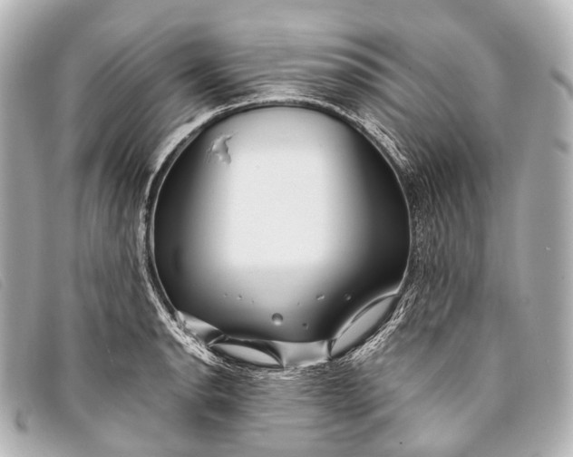 X0000093371134200710251147