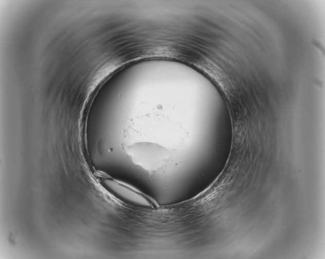 X0000093371135200710251147