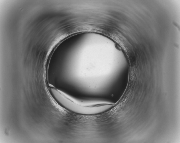 X0000093371136200710251147