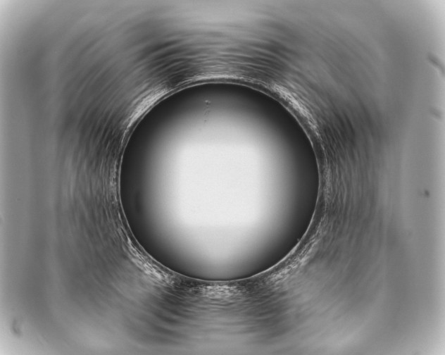 X0000093371137200710251147