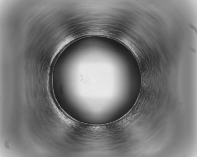 X0000093371139200710251147