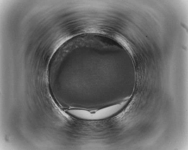 X0000093371141200710251148