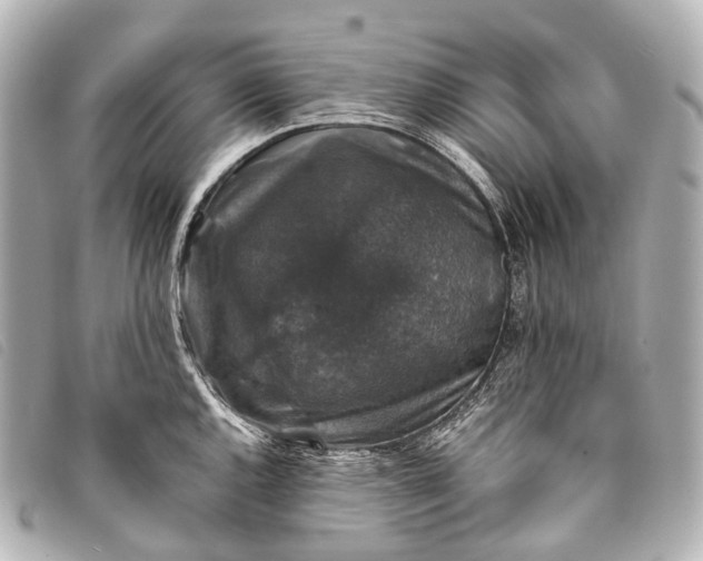 X0000093371144200710251148