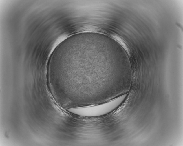 X0000093371146200710251148