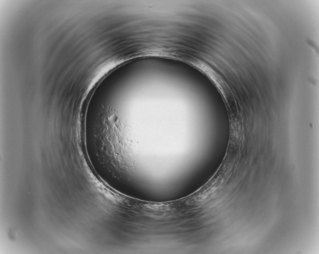 X0000093371147200710251148