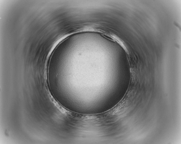 X0000093371148200710251148