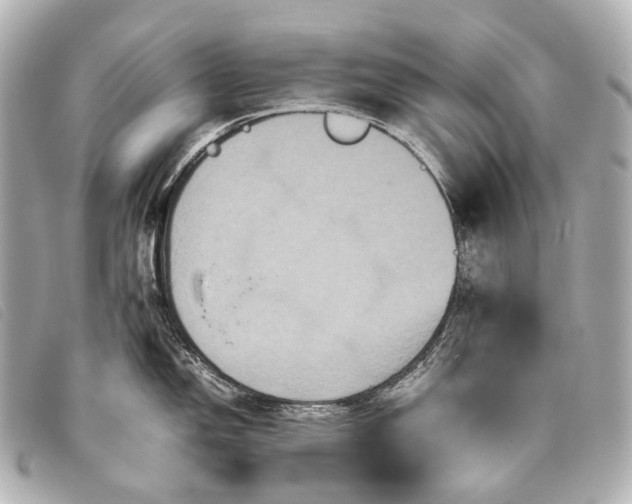 X0000093371150200710251148