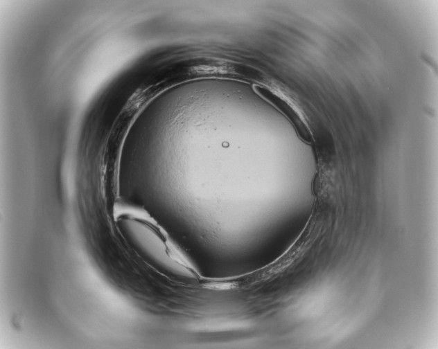 X0000093371151200710251148