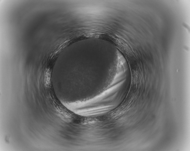 X0000093371154200710251147