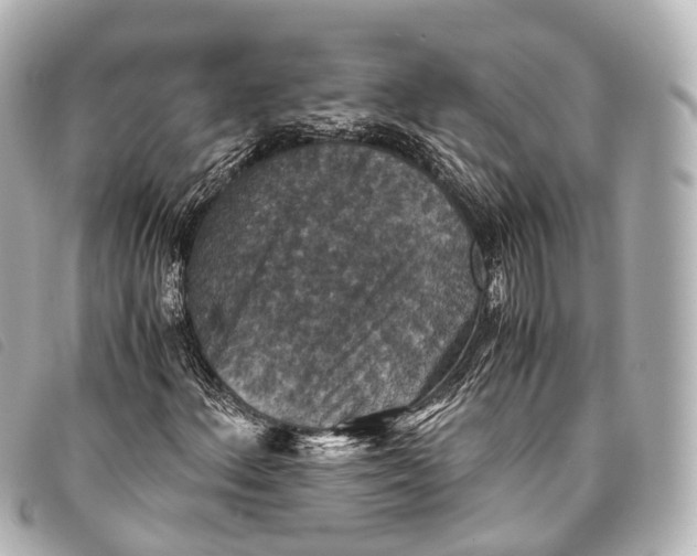 X0000093371156200710251147