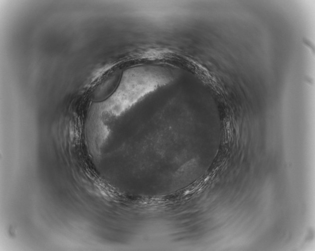 X0000093371158200710251147