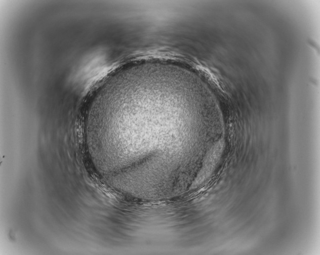 X0000093371159200710251147