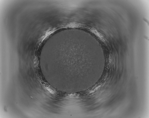 X0000093371160200710251147