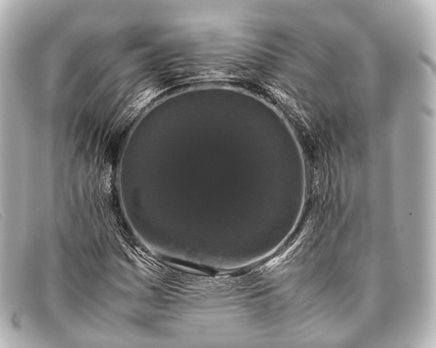 X0000093371161200710251147