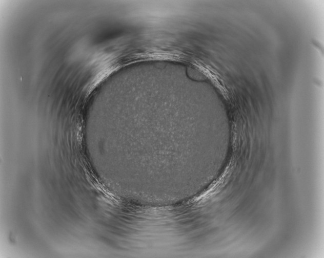 X0000093371163200710251147