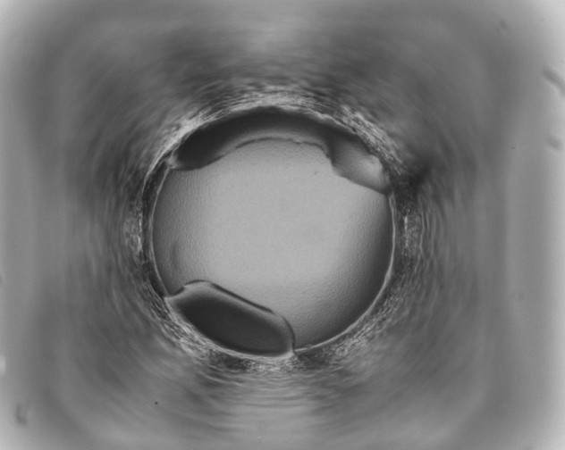 X0000093371165200710251147