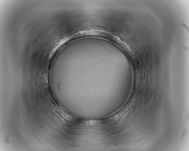 X0000093371166200710251147