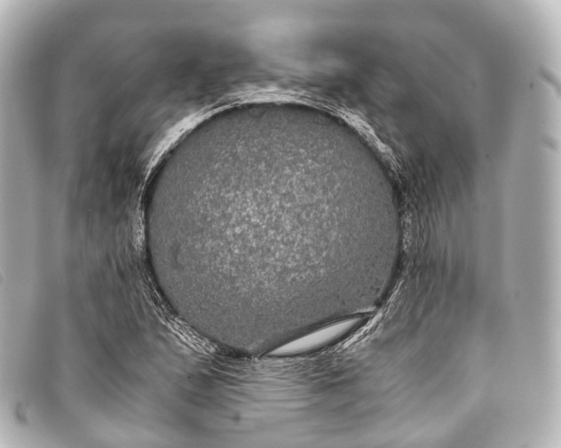 X0000093371167200710251147