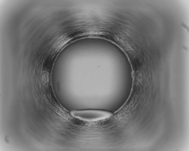 X0000093371169200710251147