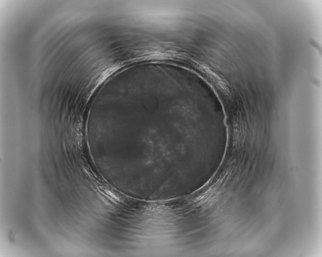 X0000093371170200710251147