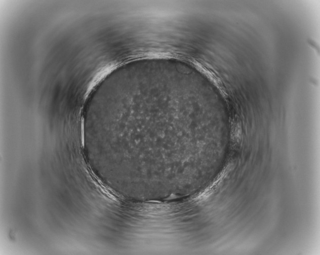 X0000093371171200710251147