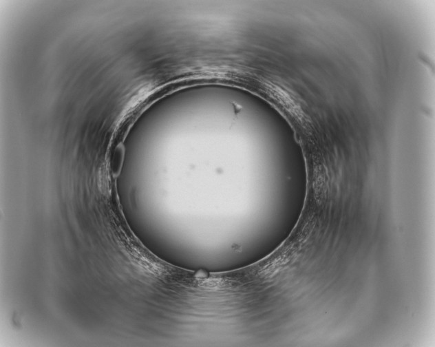 X0000093371172200710251147