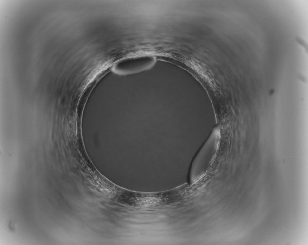 X0000093371173200710251147