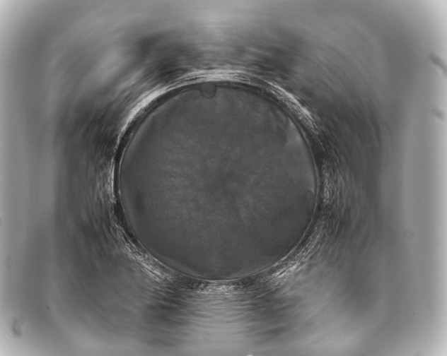 X0000093371174200710251147