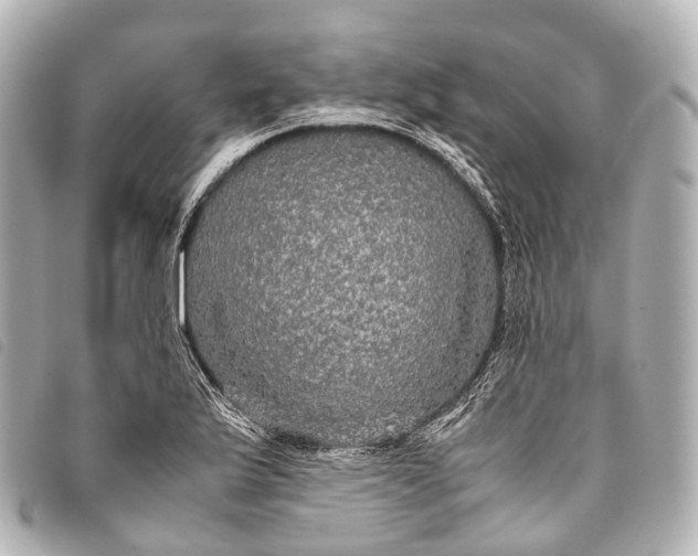 X0000093371175200710251147