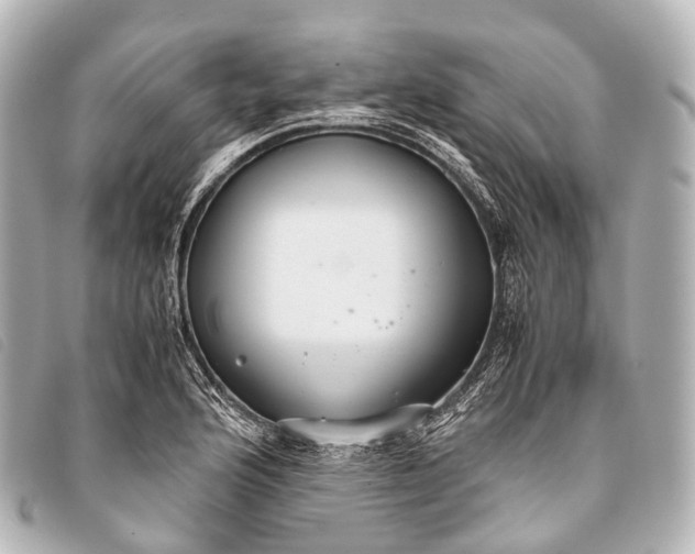 X0000093371176200710251147