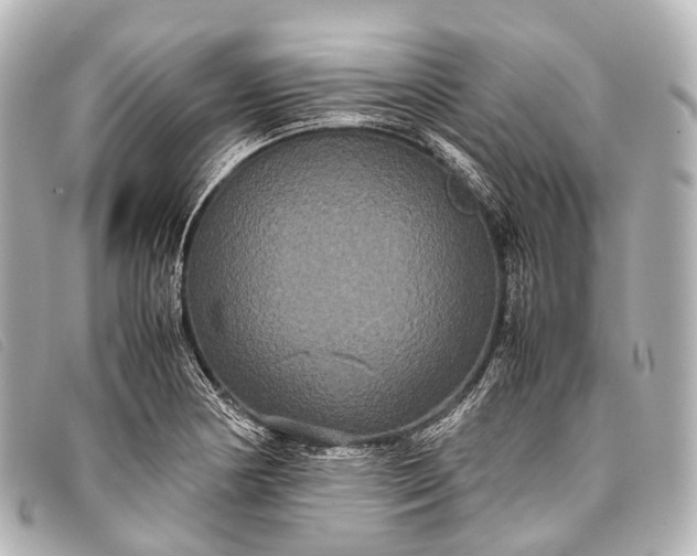 X0000093371178200710251147