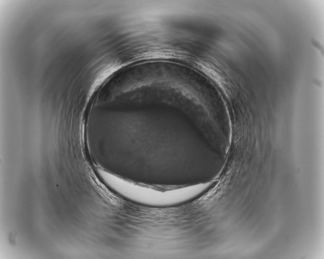 X0000093371179200710251147