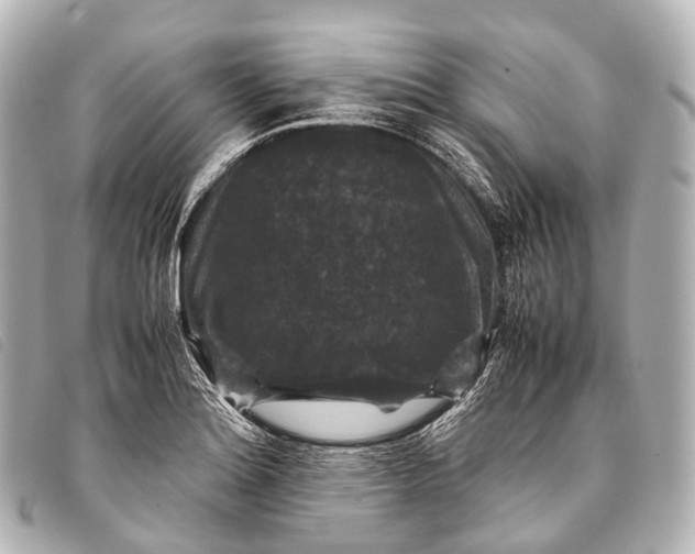 X0000093371180200710251147