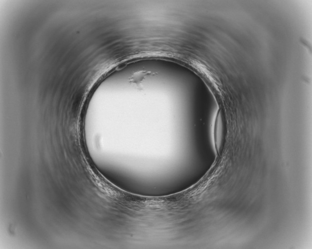 X0000093371181200710251147