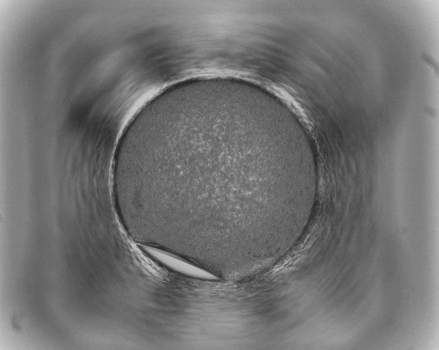 X0000093371183200710251147