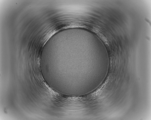 X0000093371185200710251147