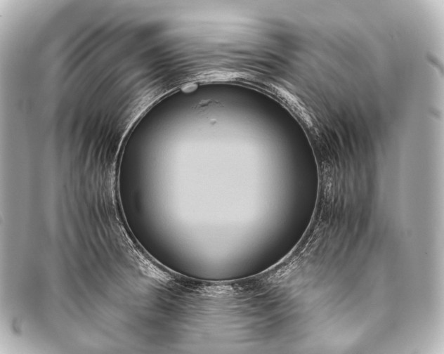 X0000093371186200710251147