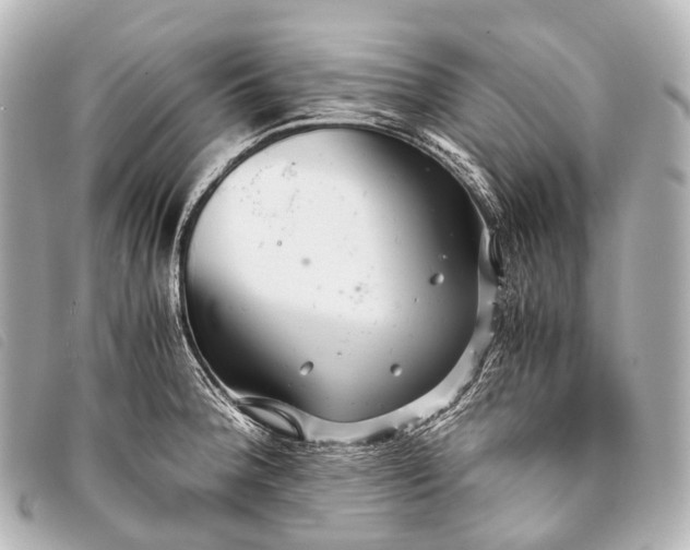 X0000093371188200710251147