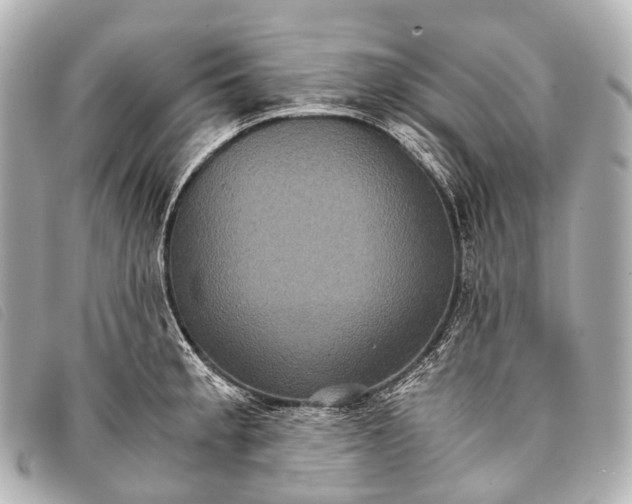 X0000093371189200710251147