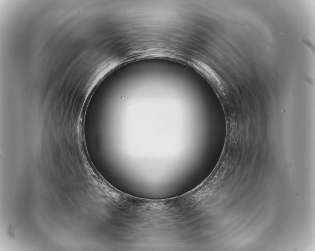 X0000093371190200710251146