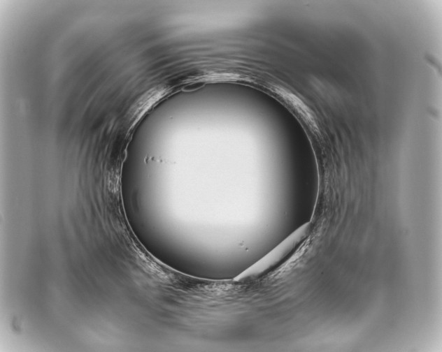 X0000093371193200710251146