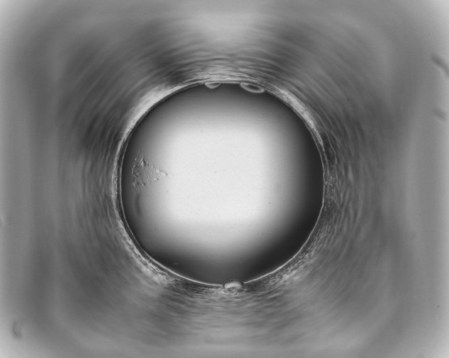 X0000093371195200710251146