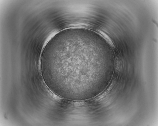 X0000093371196200710251146