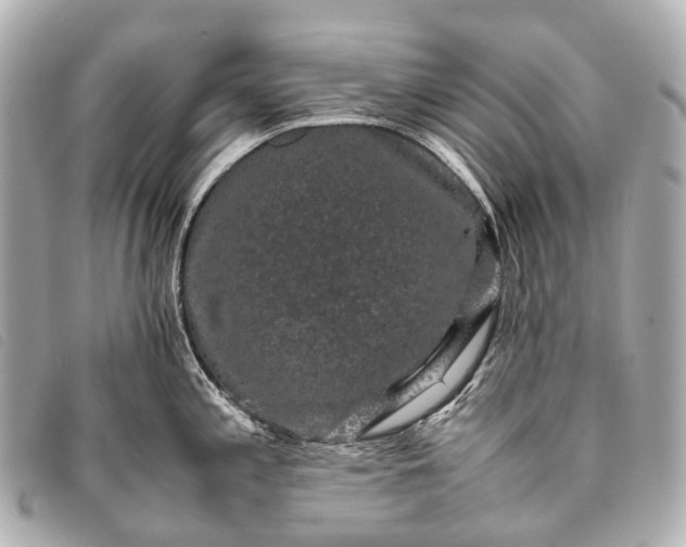 X0000093371197200710251146