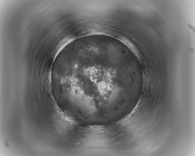 X0000093371198200710251146