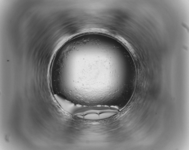 X0000093371199200710251146