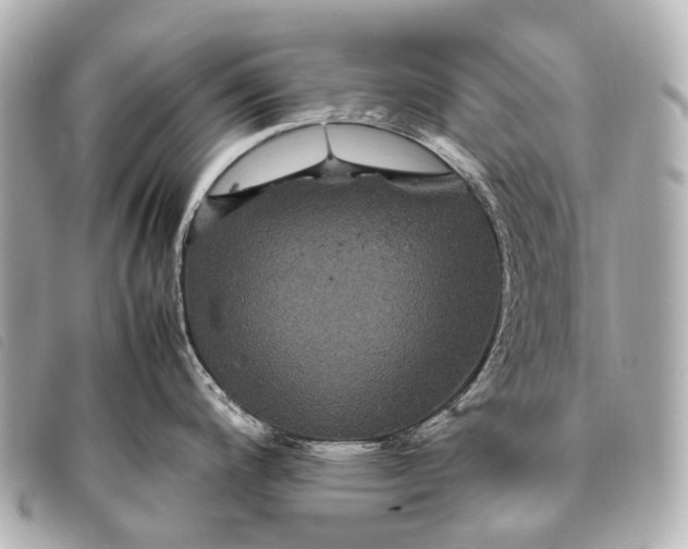 X0000093371200200710251146