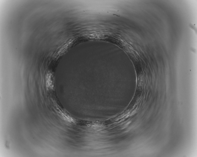 X0000093371202200710251146